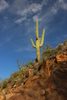 photo thumbnail #12