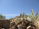 photo thumbnail #3