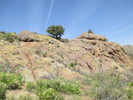 photo thumbnail #5