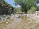 photo thumbnail #6