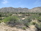 photo thumbnail #11