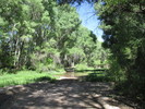 photo thumbnail #1