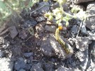 photo thumbnail #8