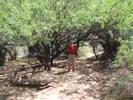 photo thumbnail #4