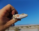 photo thumbnail #14
