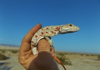 photo thumbnail #15