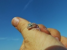 photo thumbnail #4