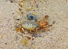 photo thumbnail #6