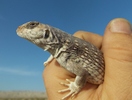 photo thumbnail #9