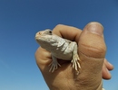 photo thumbnail #10