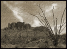photo thumbnail #1