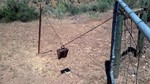 photo thumbnail #9