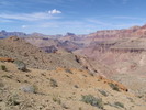 photo thumbnail #11