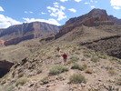 photo thumbnail #12