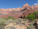 photo thumbnail #14
