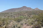 photo thumbnail #3