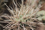 photo thumbnail #15