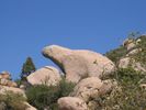 photo thumbnail #3