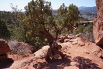 photo thumbnail #2