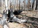 photo thumbnail #7