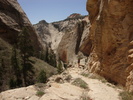 photo thumbnail #10