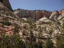 photo thumbnail #13