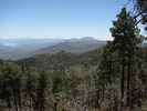 photo thumbnail #11