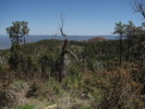 photo thumbnail #12