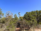 photo thumbnail #11
