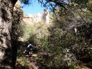 photo thumbnail #1