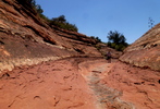 photo thumbnail #8