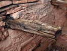 photo thumbnail #12