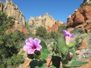 photo thumbnail #2