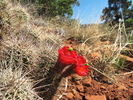 photo thumbnail #3