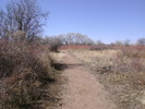 photo thumbnail #12