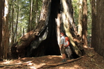 photo thumbnail #10