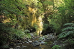 photo thumbnail #15