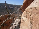 photo thumbnail #4