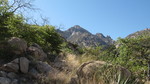 photo thumbnail #11