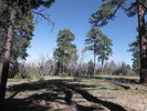 photo thumbnail #14