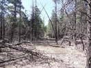 photo thumbnail #15