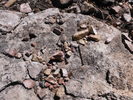 photo thumbnail #12