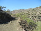 photo thumbnail #11