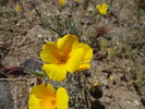 photo thumbnail #10