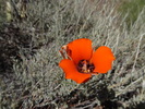 photo thumbnail #12