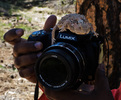photo thumbnail #15