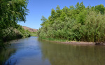 photo thumbnail #10