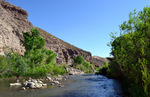 photo thumbnail #14