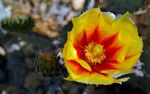 photo thumbnail #15