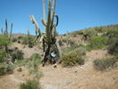 photo thumbnail #5